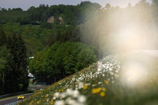 #64 - HRT Ford Performance - Arjun MAINI - Jann MARDENBOROUGH - Thomas DROUET - Ford Mustang GT3 | SRO / JEP