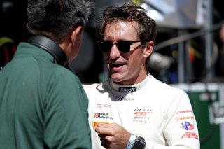 #120 - Wright Motorsports - Elliott SKEER - Porsche 911 GT3 R (992) | SRO / JEP