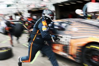 #99 - Tresor Attempto Racing - Ricardo FELLER - Christopher HAASE - Alex AKA - Audi R8 LMS GT3 EVO II  | SRO / JEP