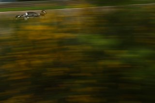 #91 - Herberth Motorsport - Ralf BOHN - Robert RENAUER - Morris SCHURING - Porsche 911 GT3 R (992)
 | JEP / SRO 