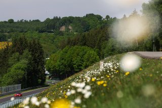 #992 - Paradine Competition - James KELLETT - Pedro EBRAHIM - Charles CLARK - Maxime OOSTEN - BMW M4 GT3 EVO | SRO / JEP