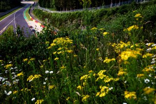 Action in pre qualifying | SRO/JEP